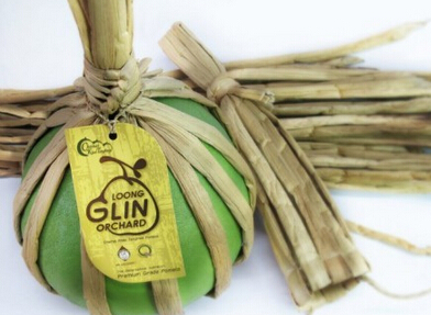 別具一格的柚子食品包裝設(shè)計(jì)