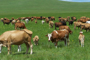 恭祝米格科技集團(tuán)與北斗設(shè)計(jì)達(dá)成品牌包裝設(shè)計(jì)