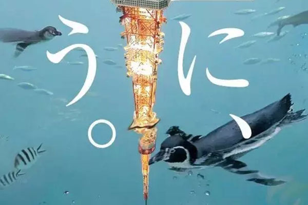 0.5秒勝出的海報(bào)是怎樣的？