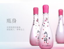 瀘州老窖玩起了新IP